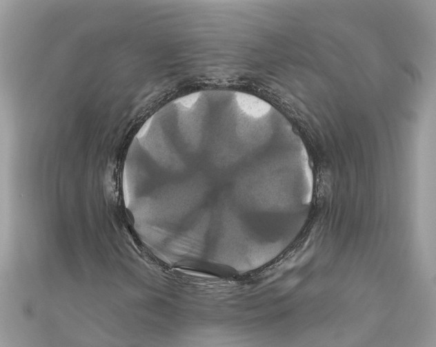 X0000110991202200907171745