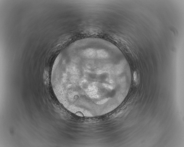 X0000110991203200907171745
