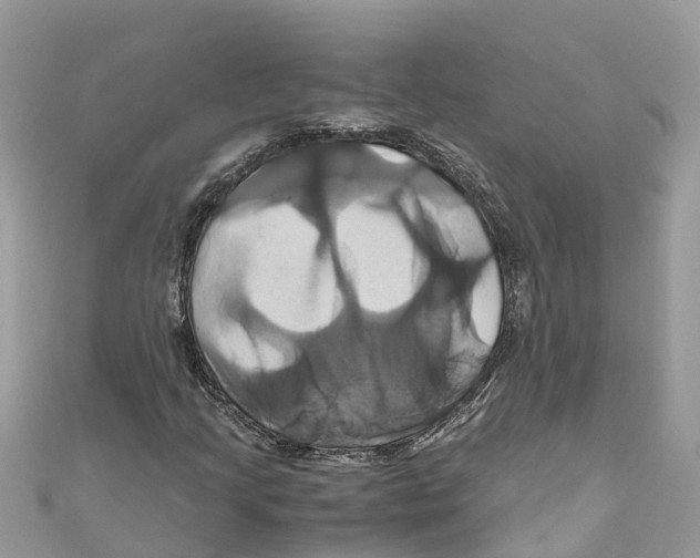 X0000110991205200907171745