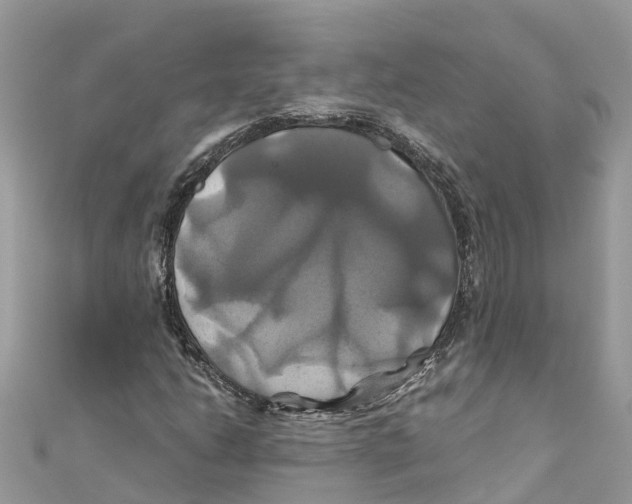 X0000110991206200907171745