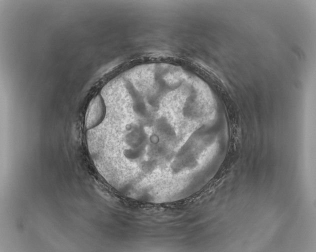 X0000110991207200907171745