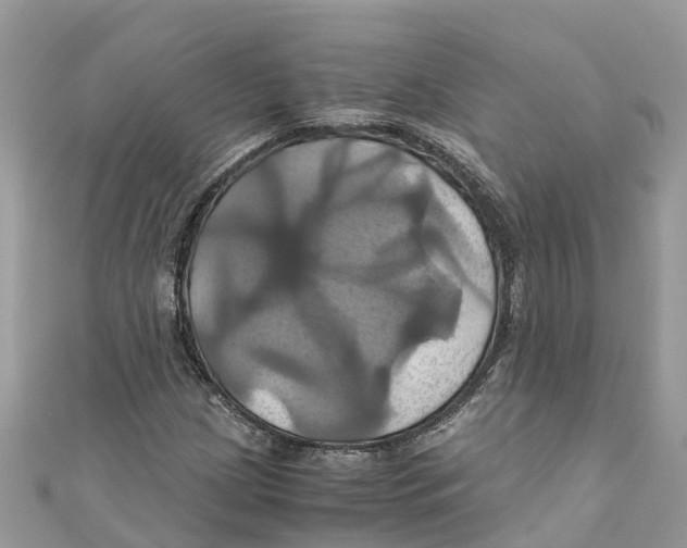 X0000110991209200907171745