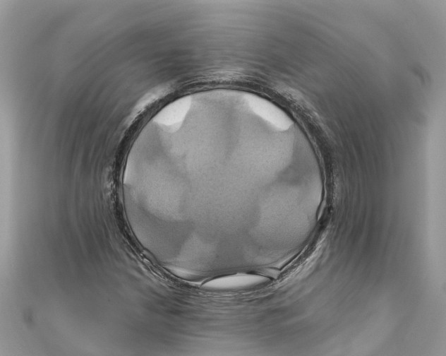 X0000110991210200907171745