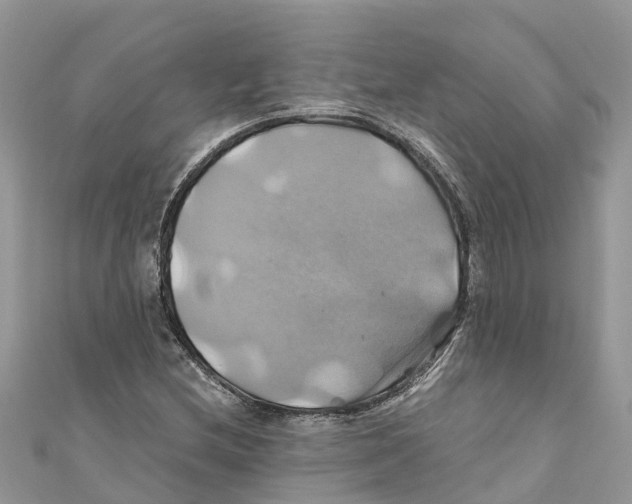 X0000110991212200907171745