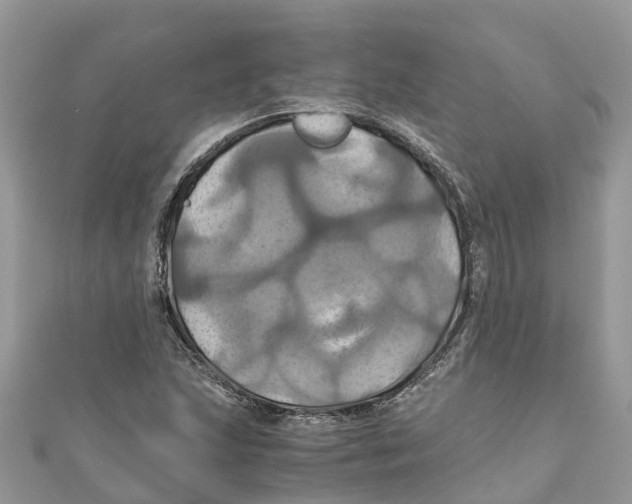 X0000110991215200907171745