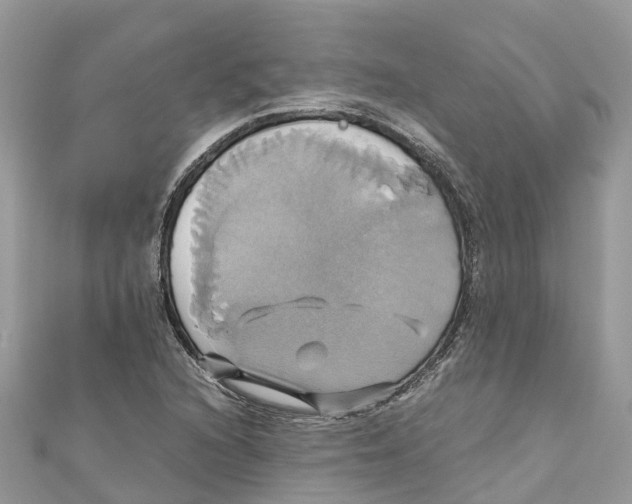 X0000110991216200907171745
