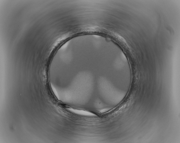 X0000110991218200907171745