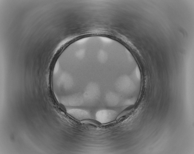 X0000110991222200907171745