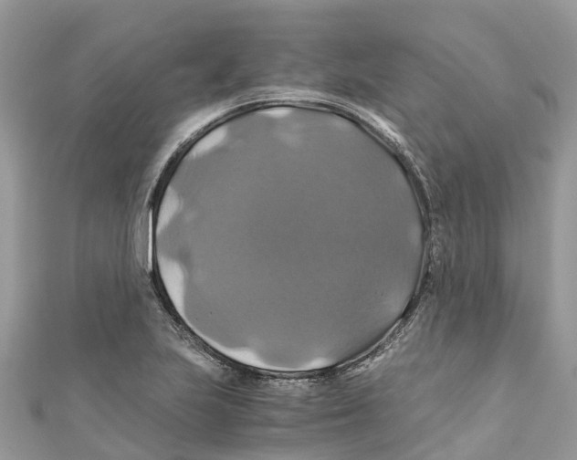 X0000110991223200907171745