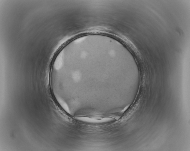 X0000110991224200907171745