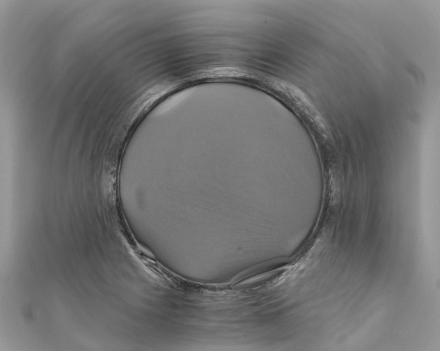 X0000110991225200907171745