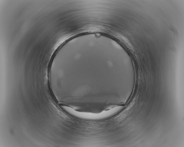 X0000110991226200907171745