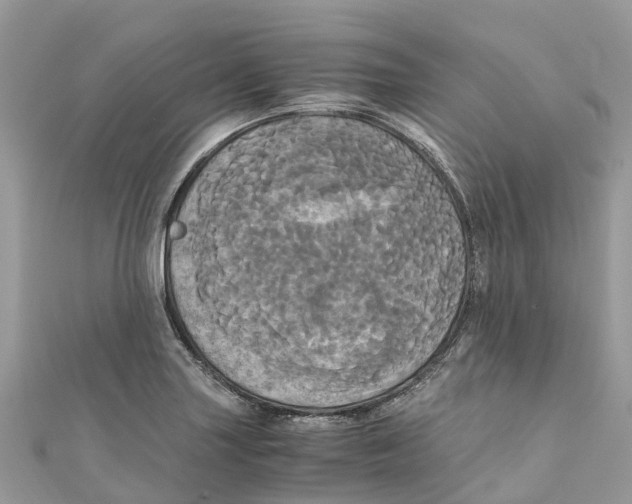 X0000110991227200907171745