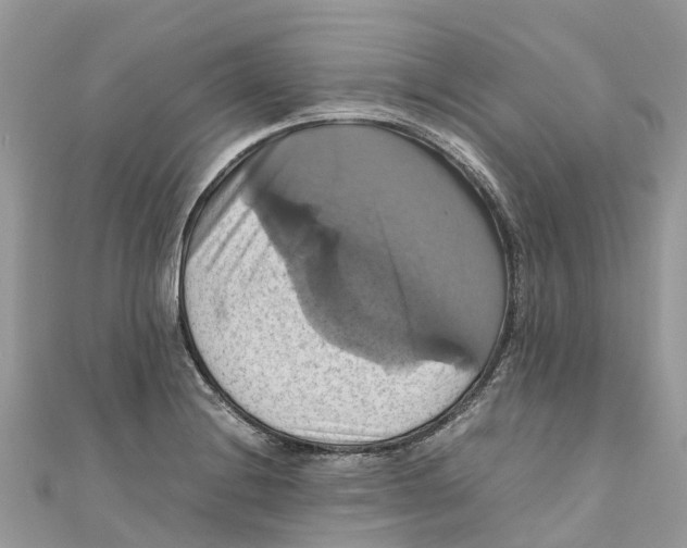 X0000110991228200907171745