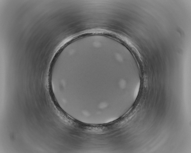X0000110991229200907171745