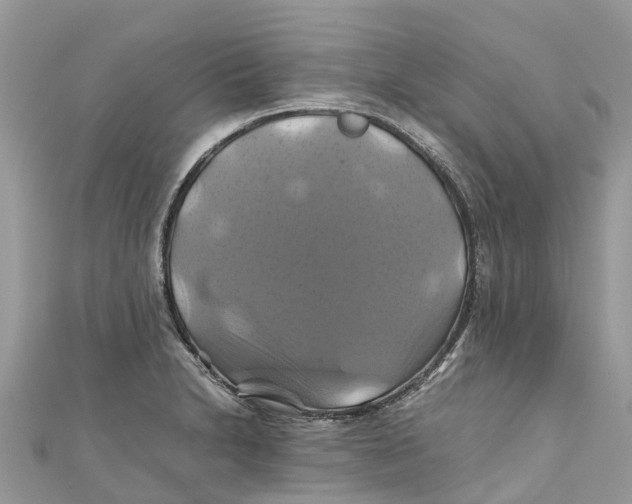 X0000110991230200907171745