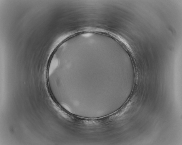 X0000110991231200907171745