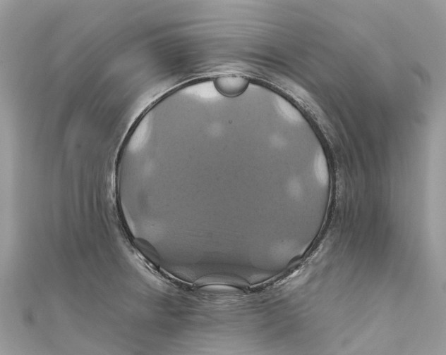X0000110991234200907171745