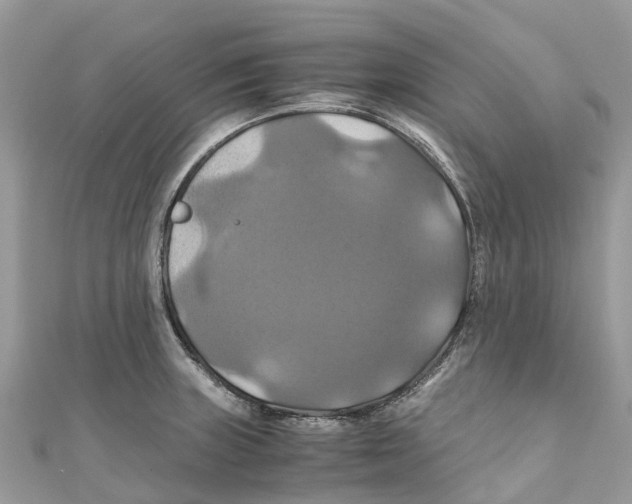 X0000110991235200907171745