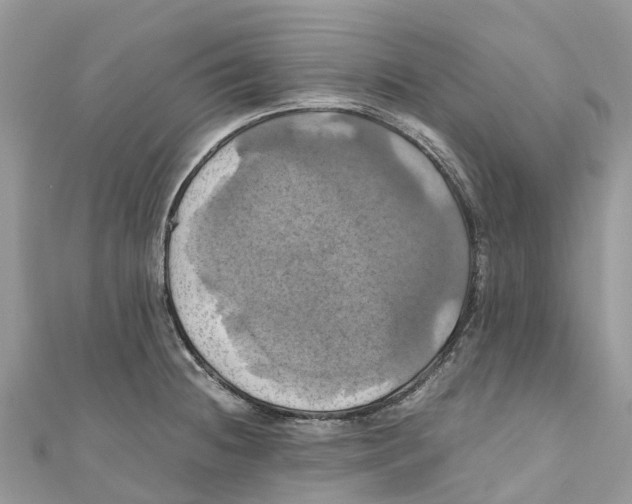 X0000110991236200907171745