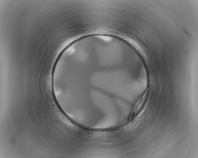 X0000110991238200907171745