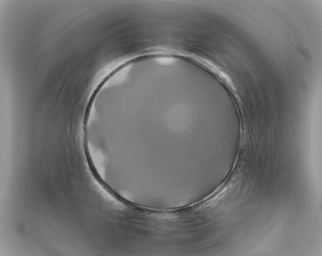 X0000110991239200907171745