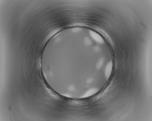 X0000110991241200907171745