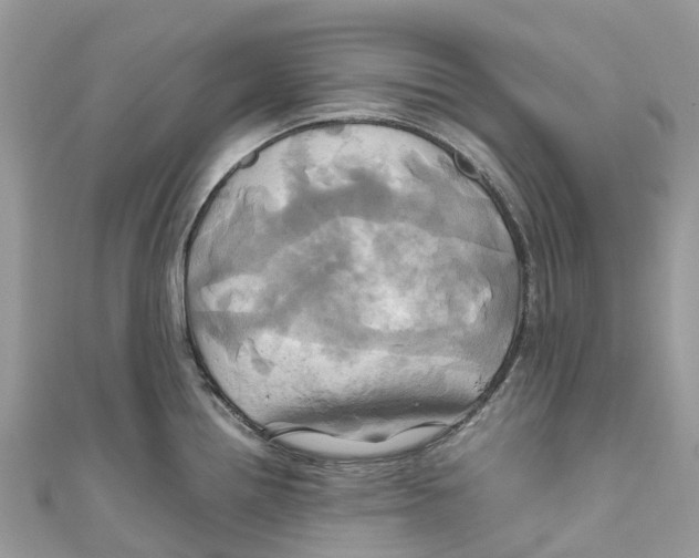 X0000110991242200907171745