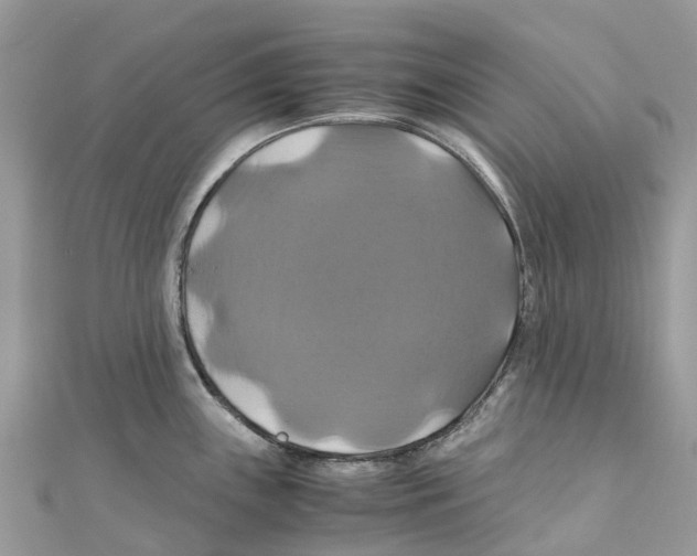 X0000110991243200907171745