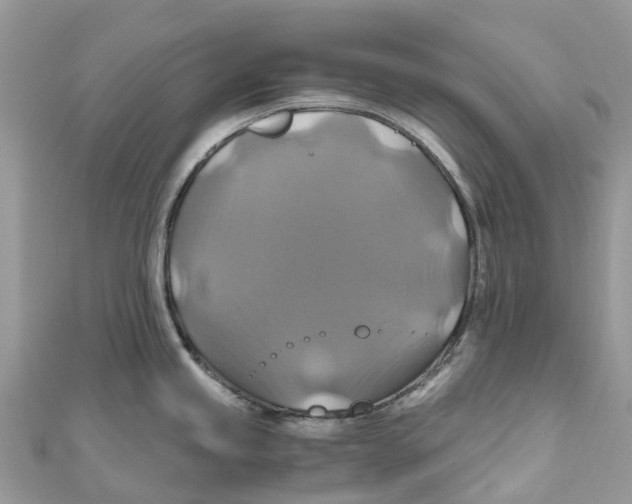 X0000110991245200907171745