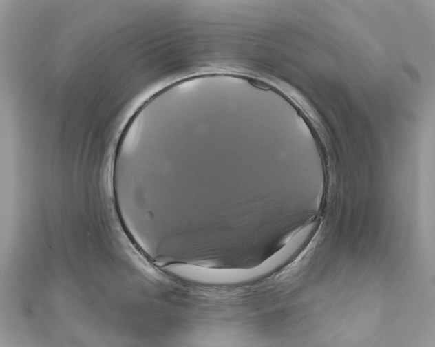 X0000110991246200907171745