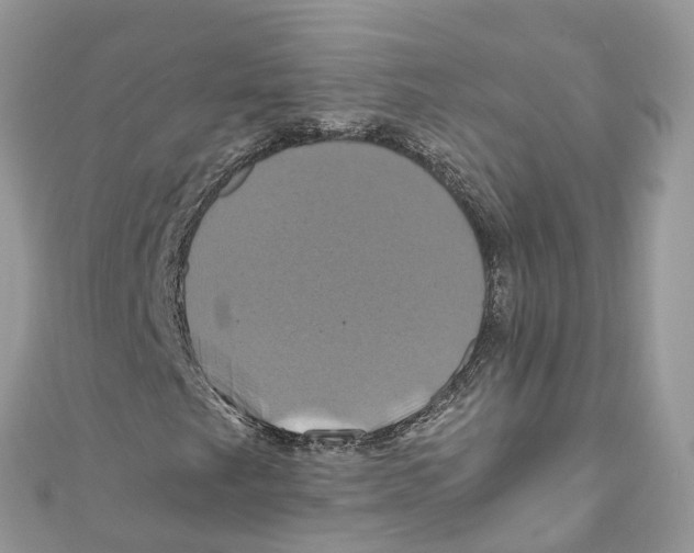 X0000110991249200907171745