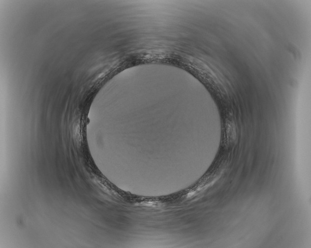 X0000110991250200907171745