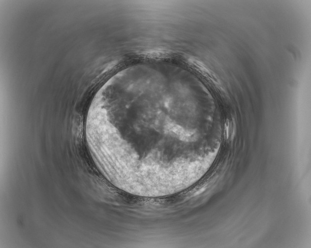 X0000110991251200907171745