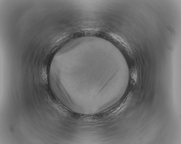 X0000110991252200907171745