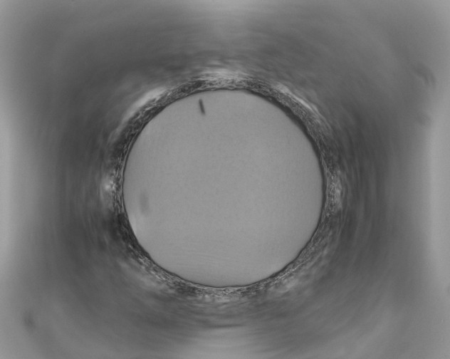 X0000110991254200907171745