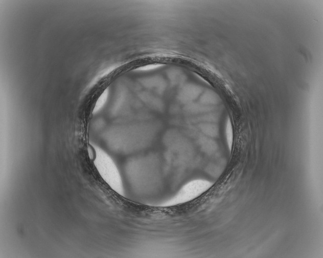 X0000110991255200907171745