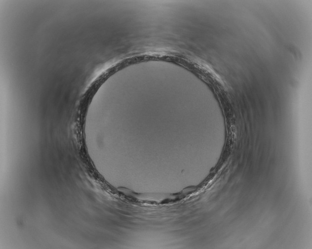 X0000110991256200907171744