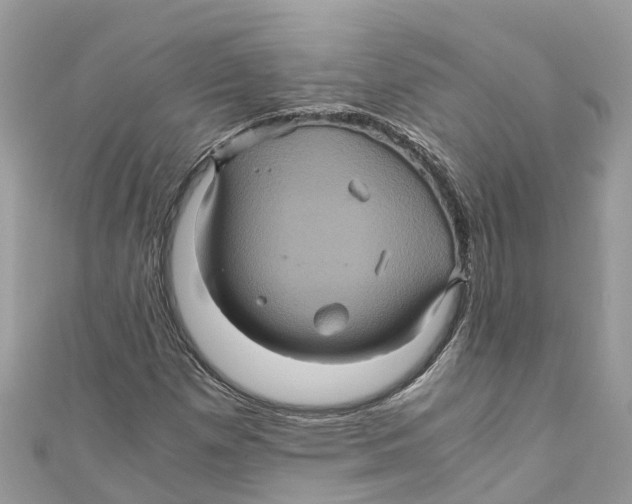 X0000110991257200907171744