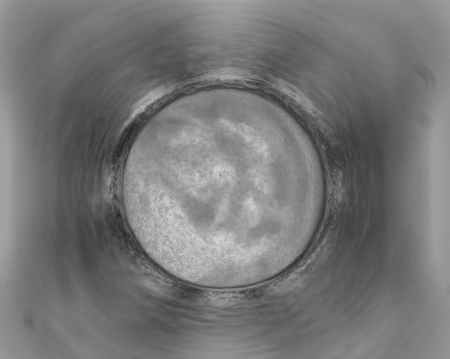 X0000110991258200907171744