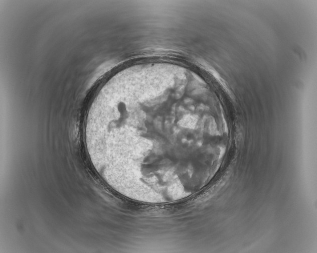 X0000110991259200907171744