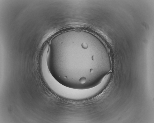 X0000110991261200907171744