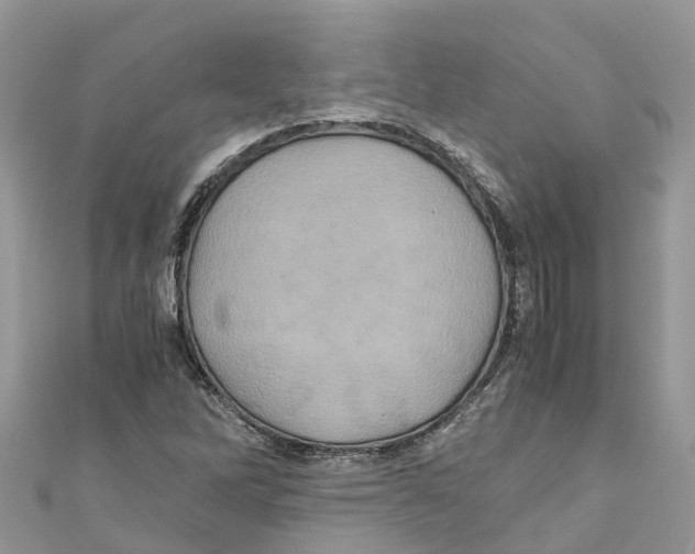 X0000110991262200907171744