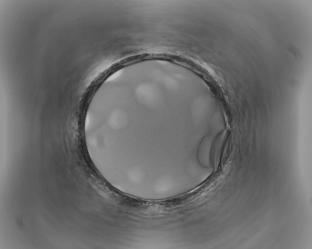 X0000110991263200907171744