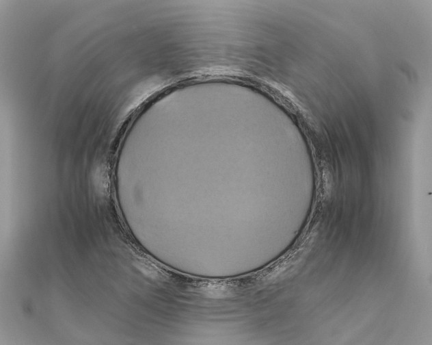 X0000110991266200907171744