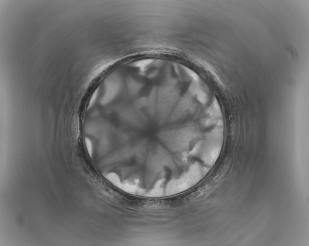 X0000110991267200907171744