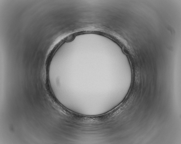 X0000110991270200907171744