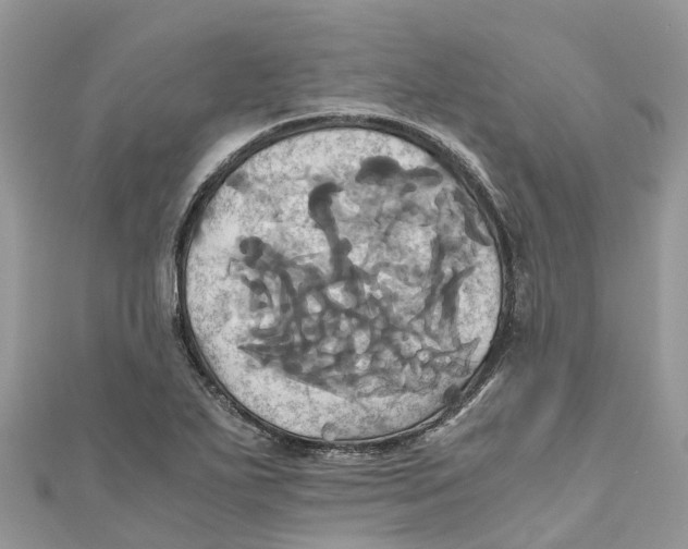 X0000110991271200907171744