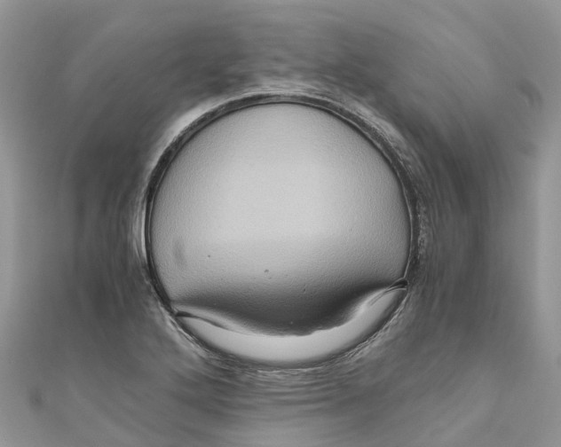 X0000110991272200907171744