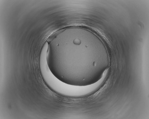 X0000110991273200907171744